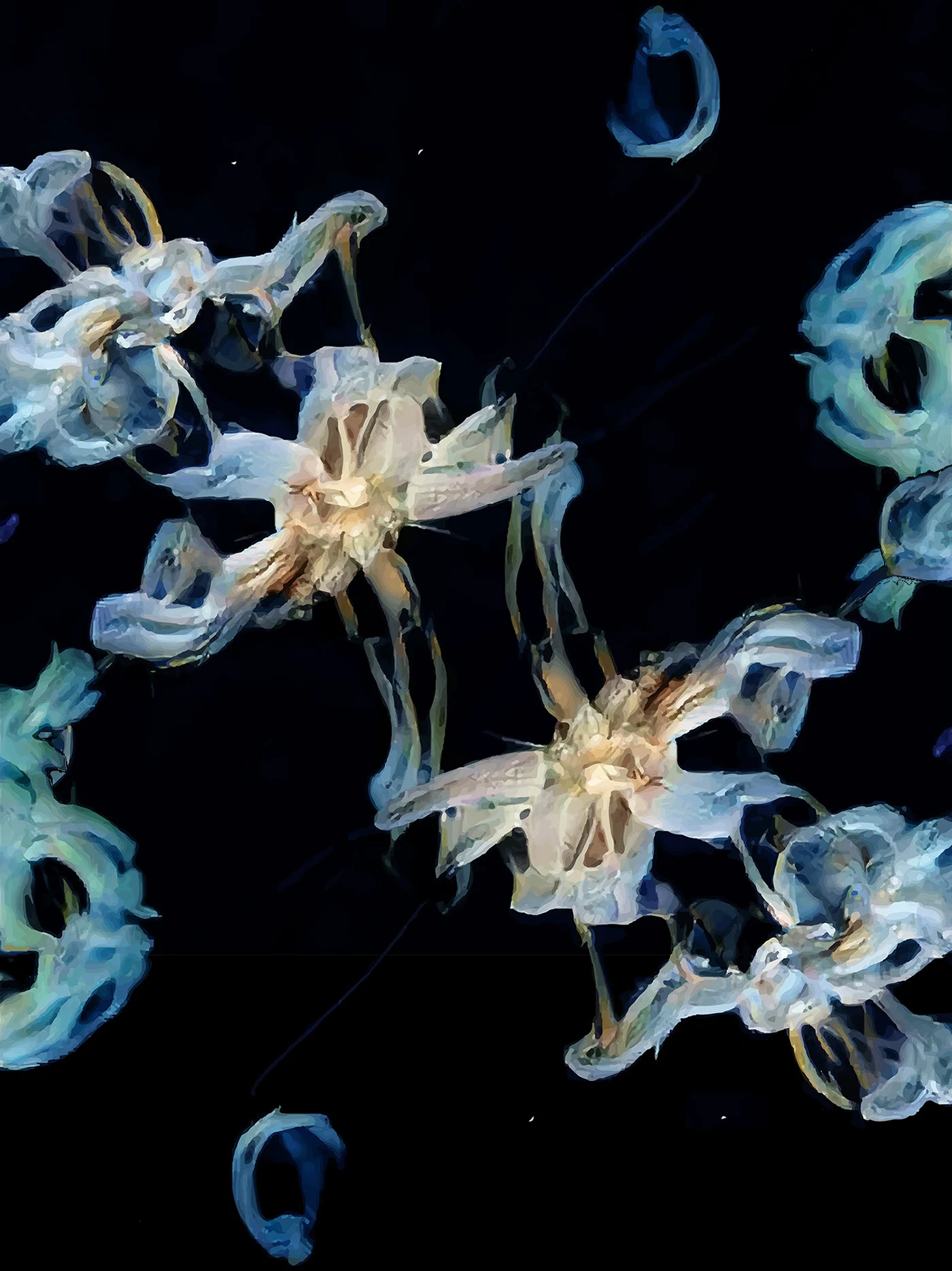diatom '22 — 4