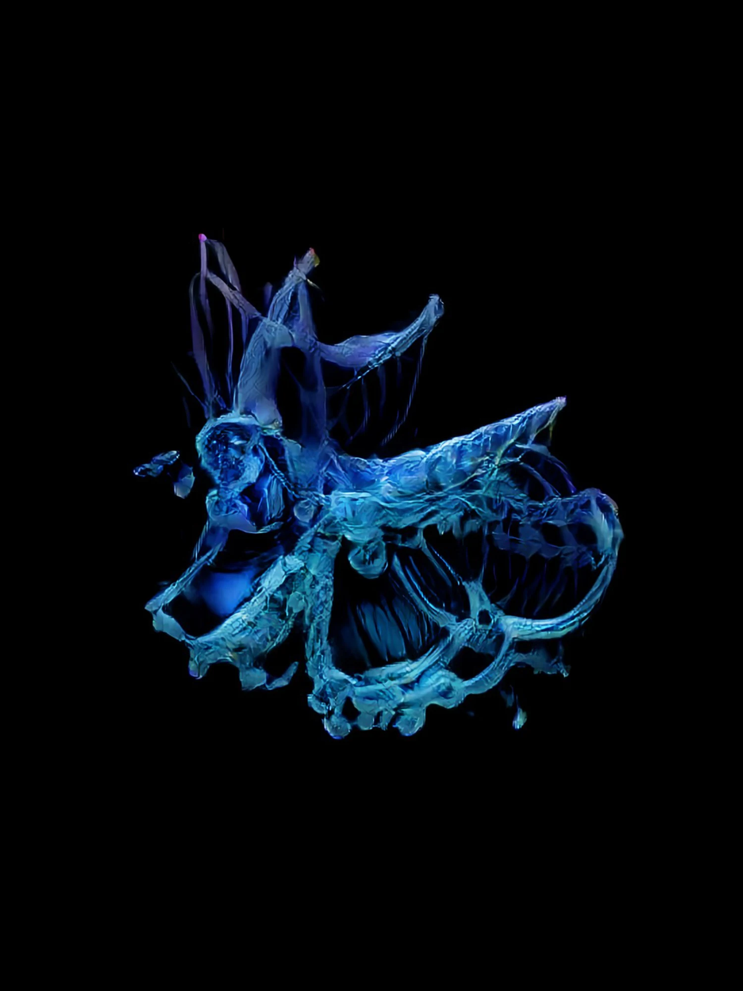 diatom '22 — 5