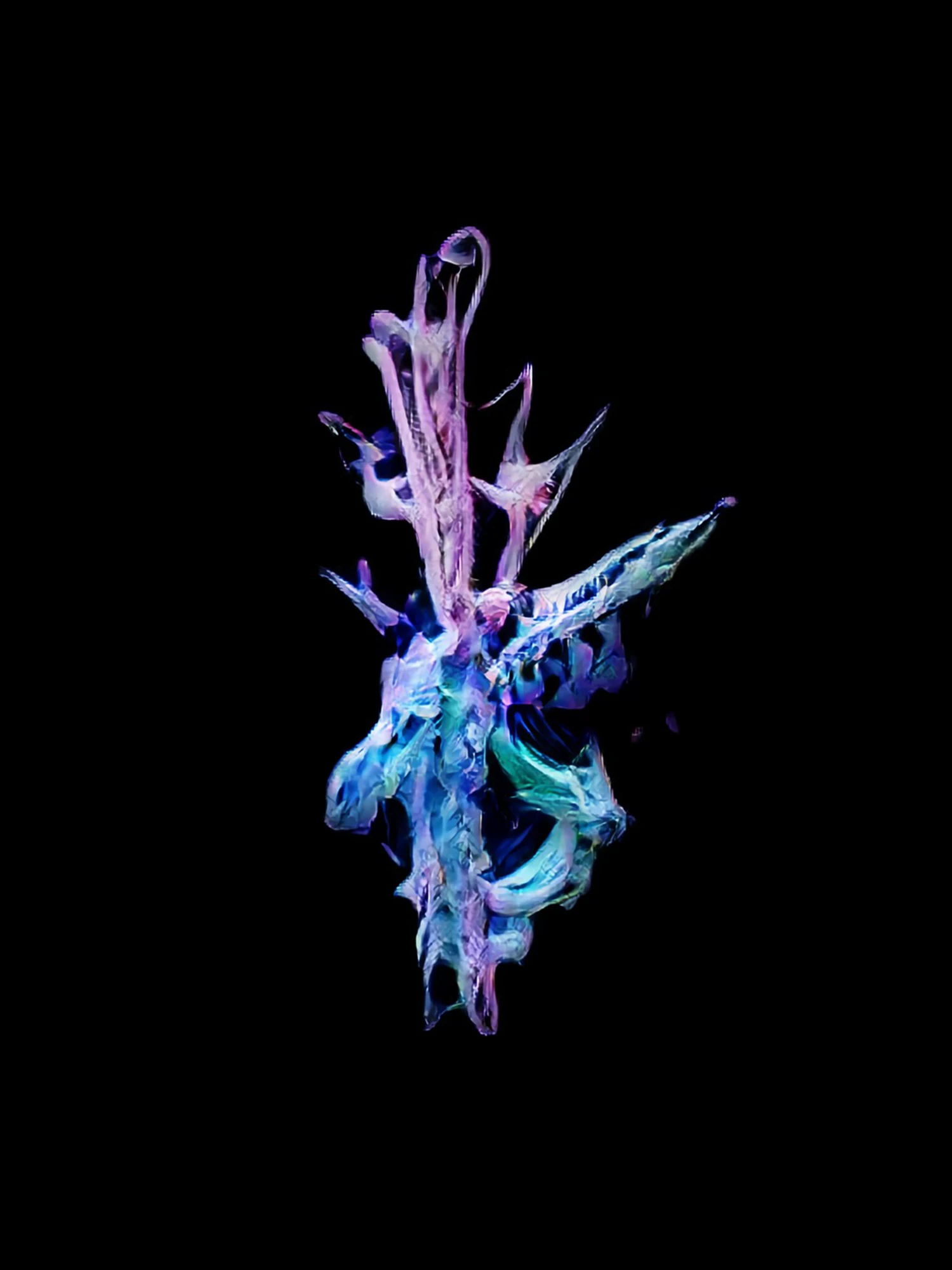 diatom '22 — 7