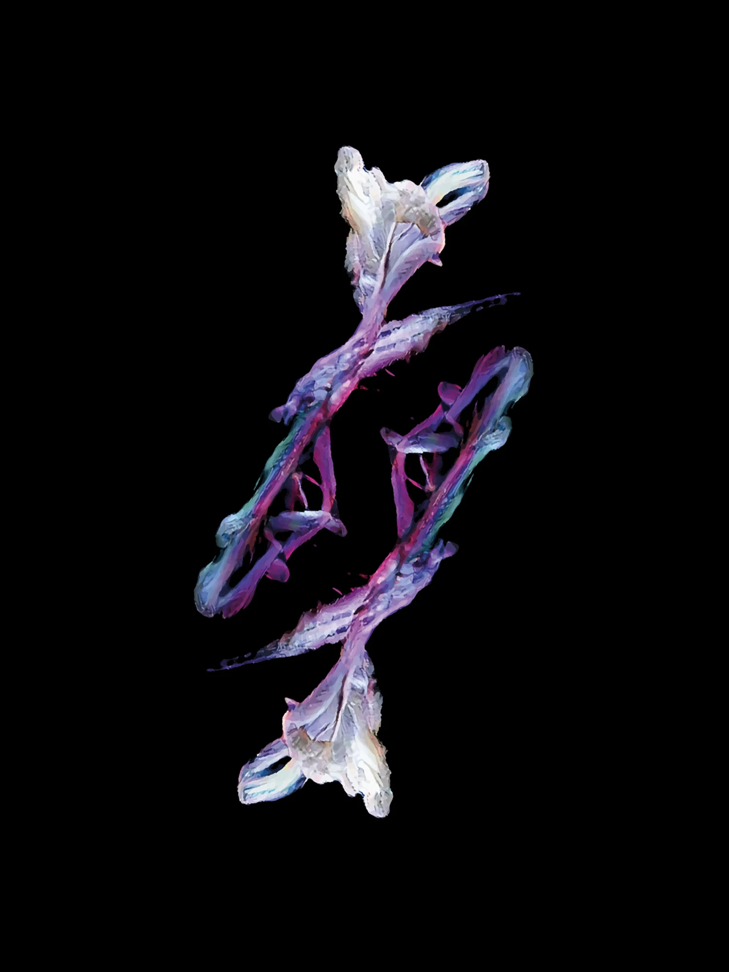 diatom '22 — 8