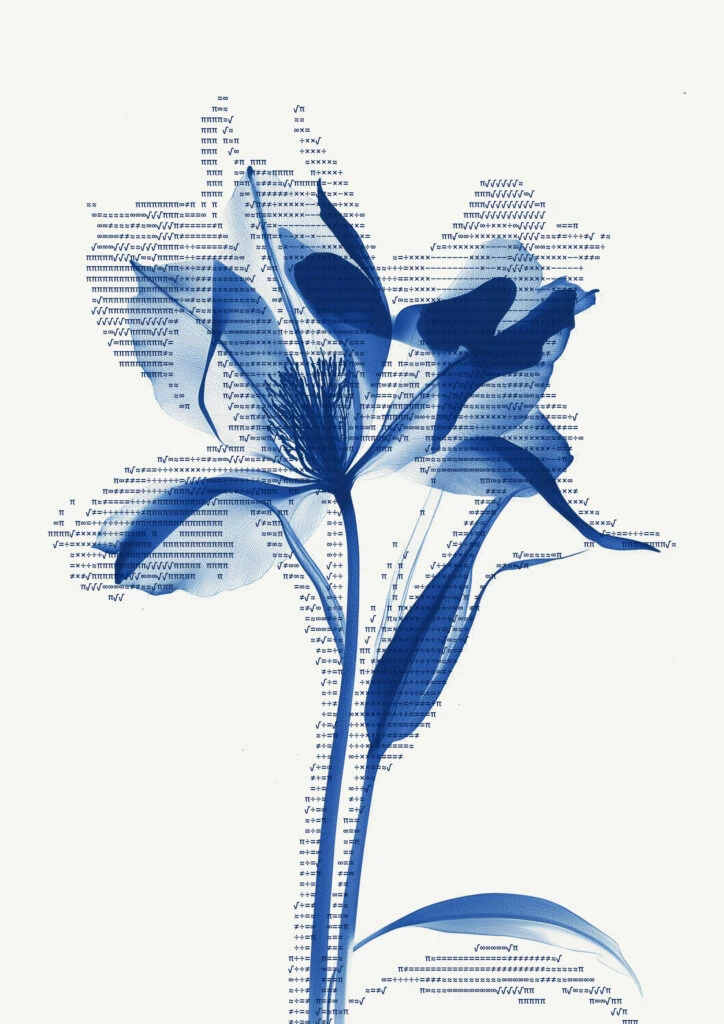 neural petals '25 — 6